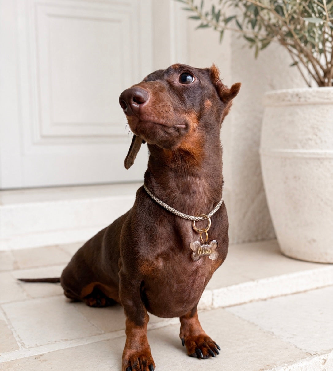 Collar ID cuerda