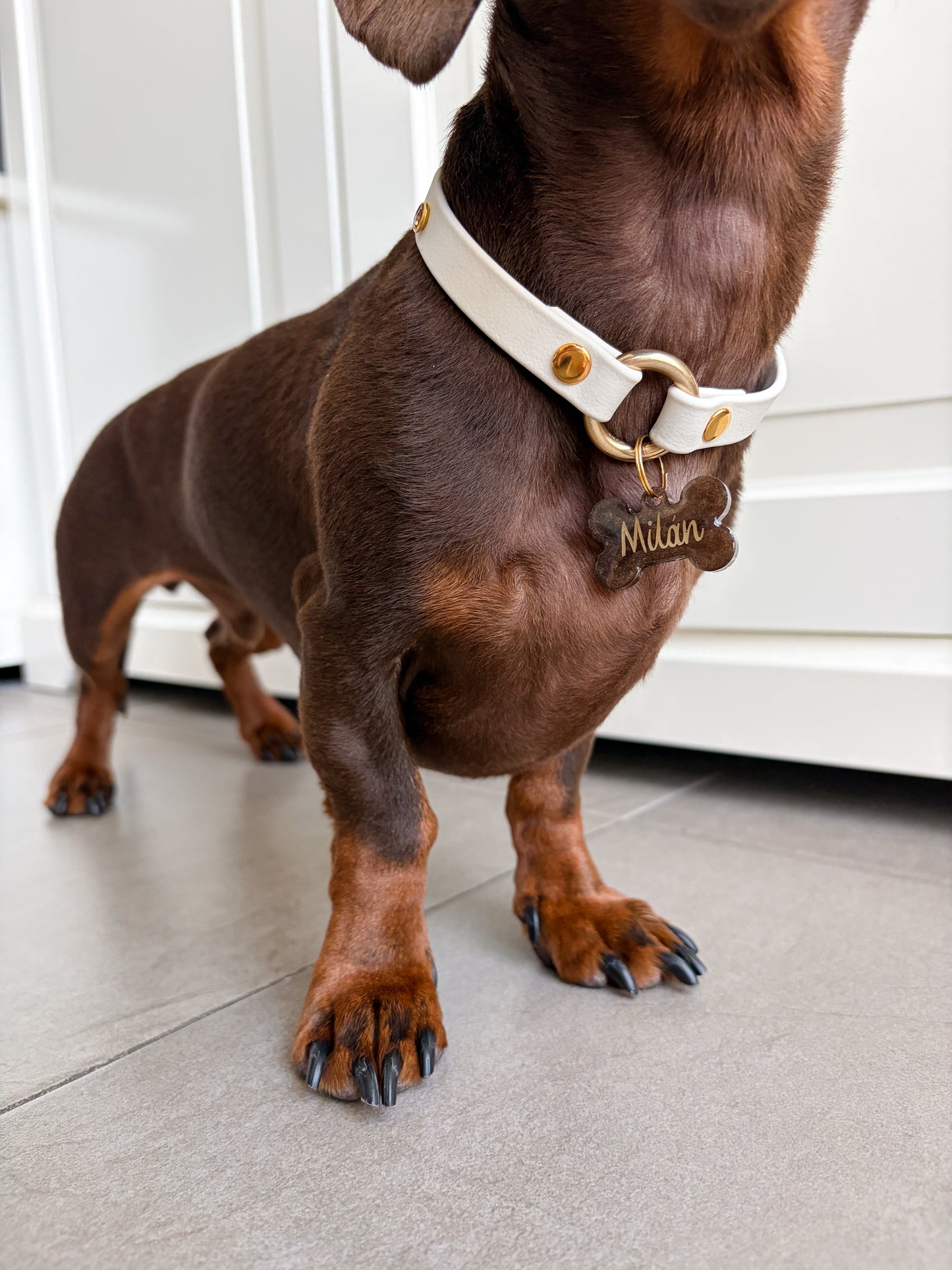 COLLAR ID ESENCIA