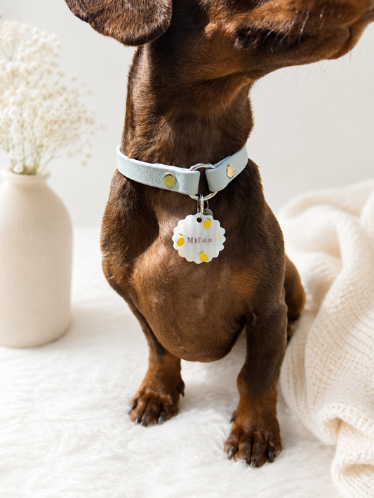 MEDALLA LEMON