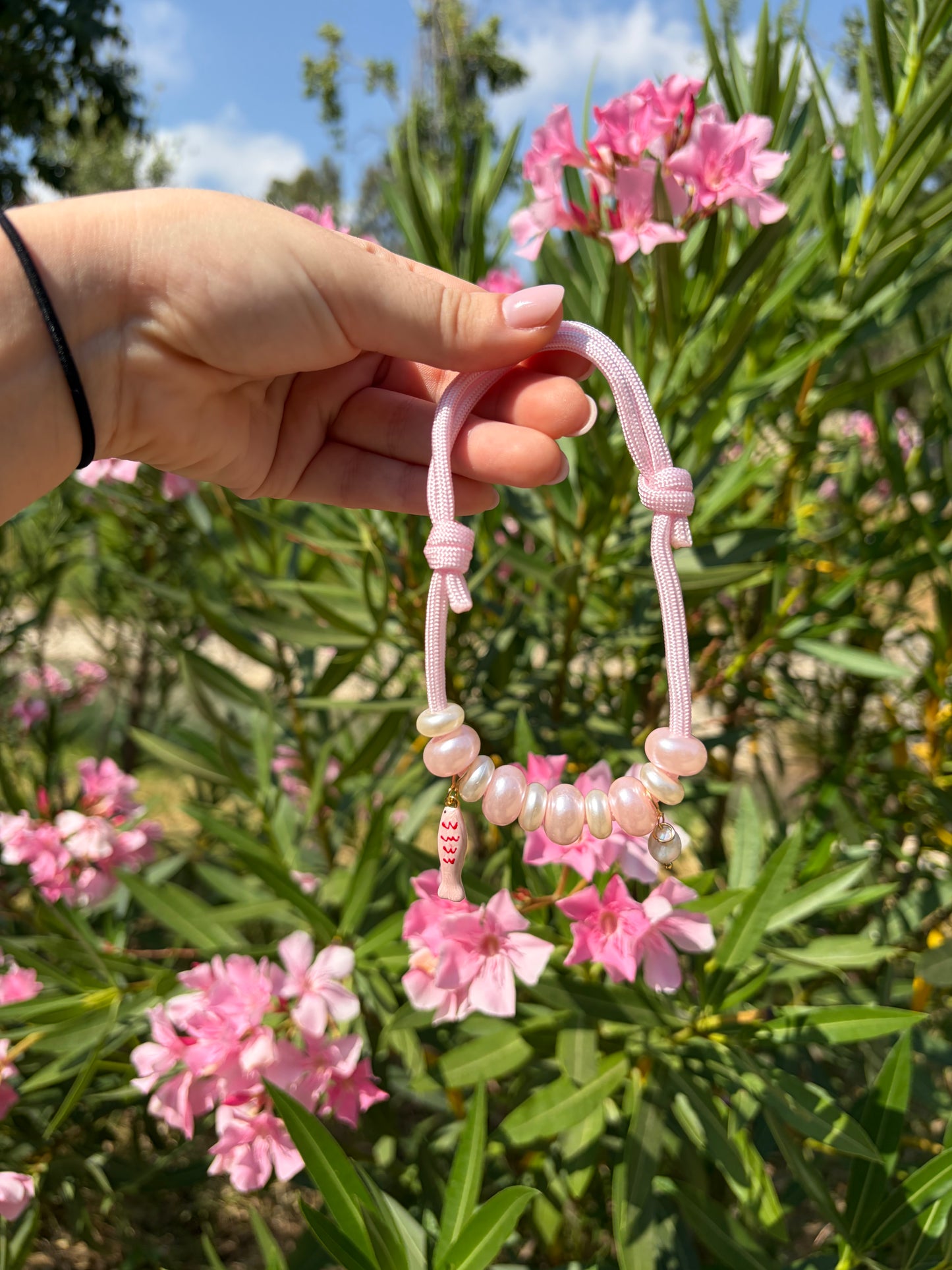COLLAR ID SUMMER